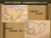 箱板上的新發(fā)現(xiàn)PPT課件免費下載