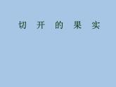 小學(xué)二年級下冊美術(shù)課件-3.7切開的果實(shí)-嶺南版(16張)ppt課件