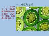 小學(xué)二年級下冊美術(shù)課件-3.7切開的果實(shí)-嶺南版(16張)ppt課件