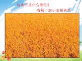 湘美版一年级美术上册 12.变脸课件PPT