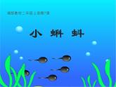 湘美版二年級(jí)美術(shù)上冊(cè)課件 10.小蝌蚪