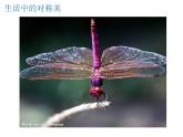 湘美版四年級(jí)美術(shù)上冊課件 第8課 色彩對(duì)“印”