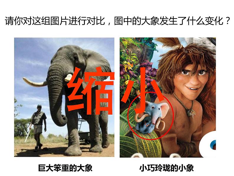 湘美版四年级美术上册课件 第15课 这个地方有点怪06