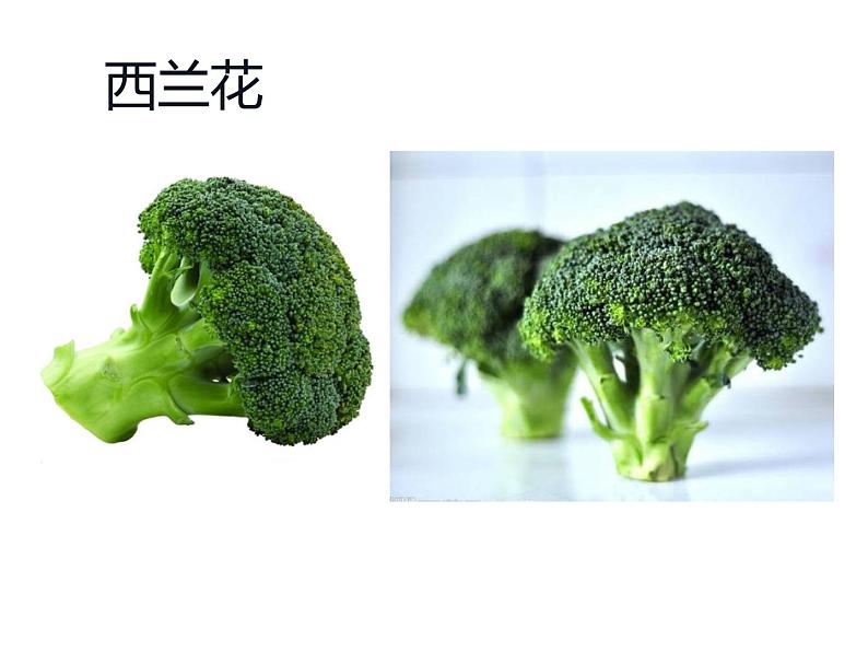 湘美版四年级美术上册课件 第15课 这个地方有点怪07