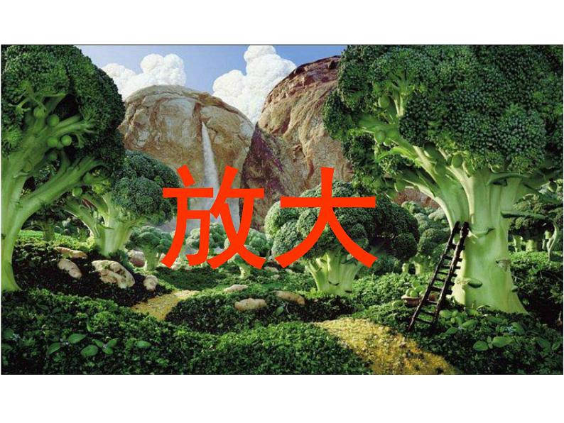 湘美版四年级美术上册课件 第15课 这个地方有点怪08