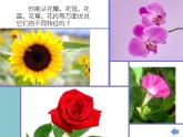 湘美版四年級(jí)美術(shù)上冊(cè)課件 第1課 祖國在我心中