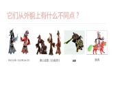湘美版五年級(jí)美術(shù)上冊課件 第11課 皮影