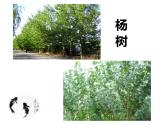 水墨畫風景PPT課件免費下載