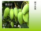 小學(xué)二年級(jí)下冊(cè)美術(shù)課件-3.6水果大聚會(huì)-嶺南版(24張)(1)ppt課件