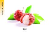 小學(xué)二年級(jí)下冊(cè)美術(shù) 3.6水果大聚會(huì)-嶺南版(28張)ppt課件