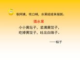小學(xué)二年級(jí)下冊(cè)美術(shù) 3.6水果大聚會(huì)-嶺南版(28張)ppt課件