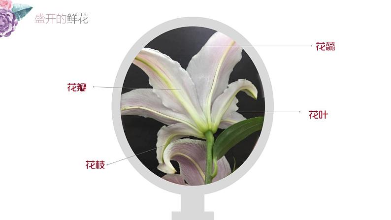 小学二年级下册美术课件-第2课盛开的鲜花-浙美版(27张)ppt课件04