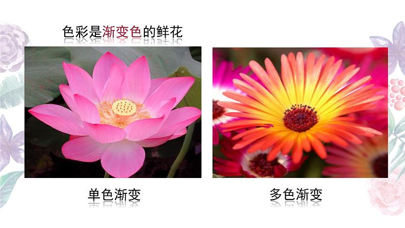 小学二年级下册美术课件-第2课盛开的鲜花-浙美版(27张)ppt课件06