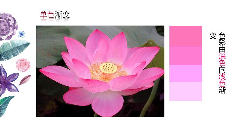 小学二年级下册美术课件-第2课盛开的鲜花-浙美版(27张)ppt课件07