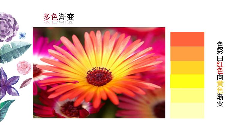 小学二年级下册美术课件-第2课盛开的鲜花-浙美版(27张)ppt课件08