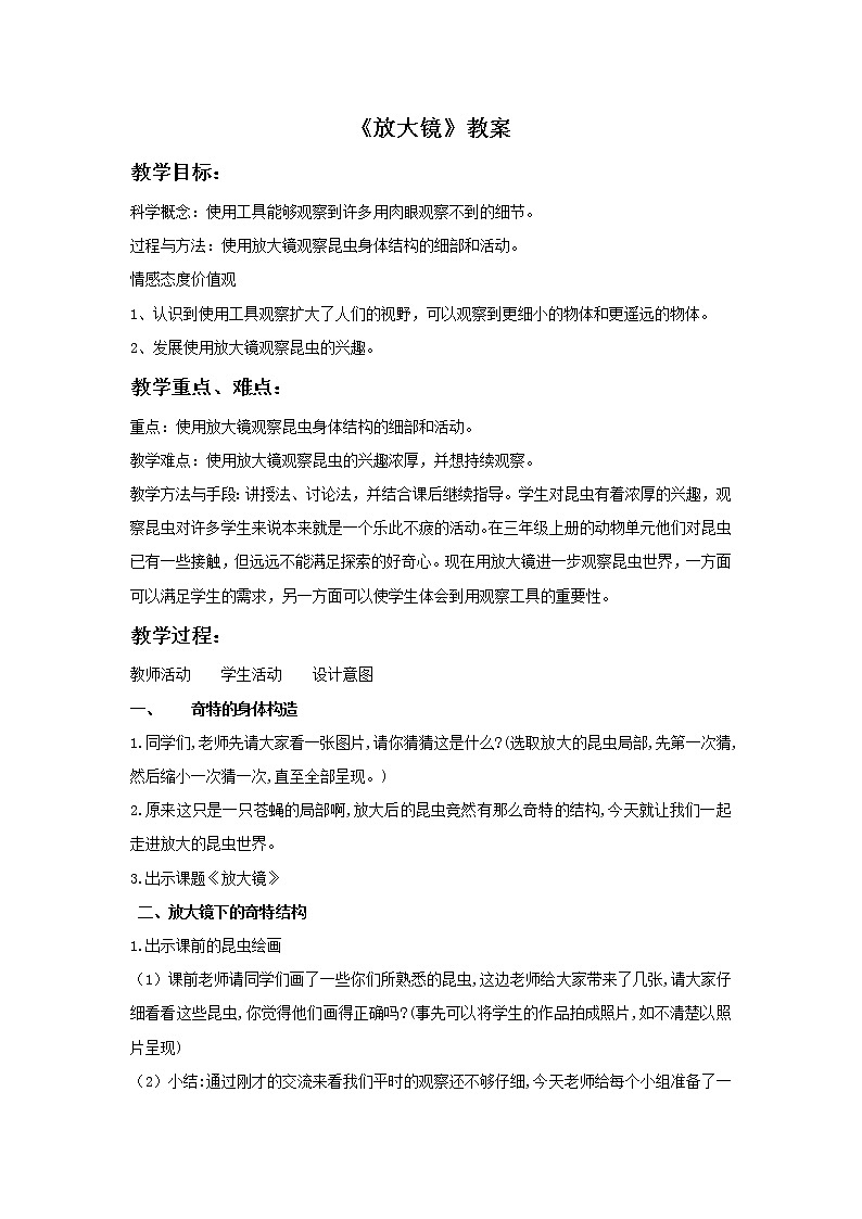 《放大镜》教案第1页