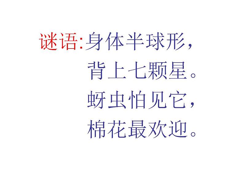 7.放大镜 课件PPT+素材01