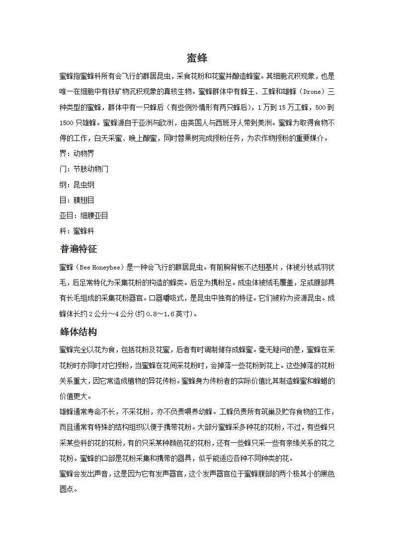 7.放大镜 课件PPT+素材01