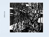 14.单色吹塑纸版画 课件PPT+素材