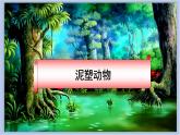 16.捏塑动物 课件PPT+素材