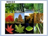 20.保护大自然 课件PPT+素材