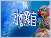 第7课 水族馆 课件PPT