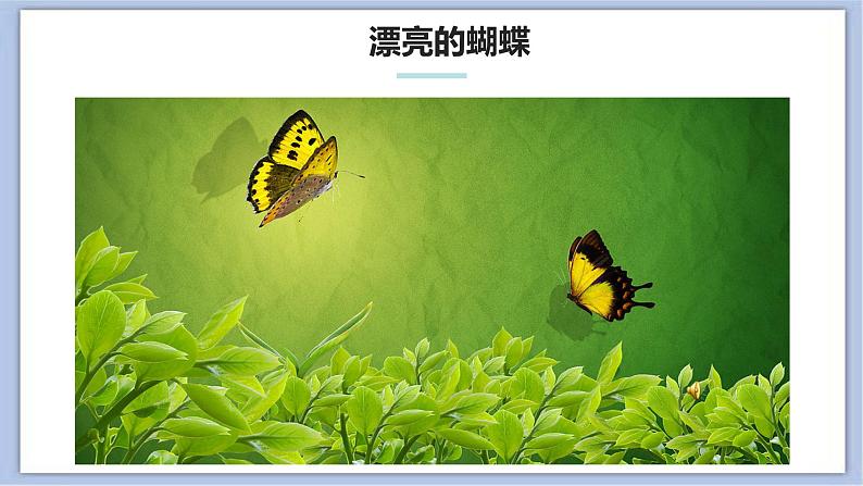 《漂亮的蝴蝶》课件第2页