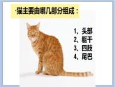 7.猫和老鼠 课件PPT+素材