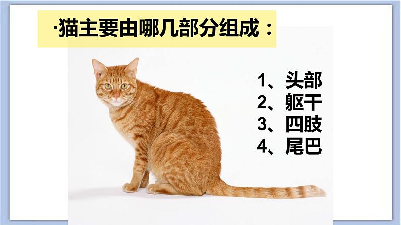 7.猫和老鼠 课件PPT+素材03