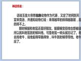 19.十二生肖 课件PPT+素材