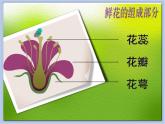 《美麗的花園》課件1