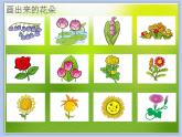 《美麗的花園》課件1