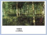 《小橋、流水、森林》課件