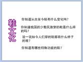 《有趣的鞋》課件