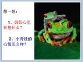 《小動物和媽媽》課件