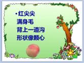 《水果大聚會(huì)》課件1
