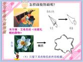 《變寫(xiě)生畫(huà)為裝飾畫(huà)》課件