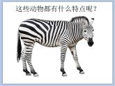 《變照片為黑白畫(huà)》課件