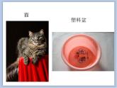 《不同物象的表面特征》课件
