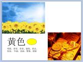 《變幻的色彩》課件