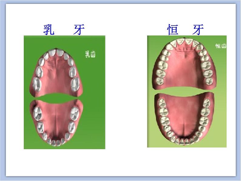 《我们的“爱牙日”》课件04