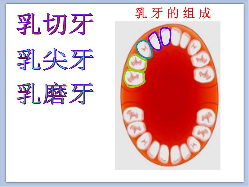 《我们的“爱牙日”》课件05