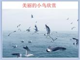 《展翅的小鸟》课件
