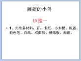 《展翅的小鸟》课件