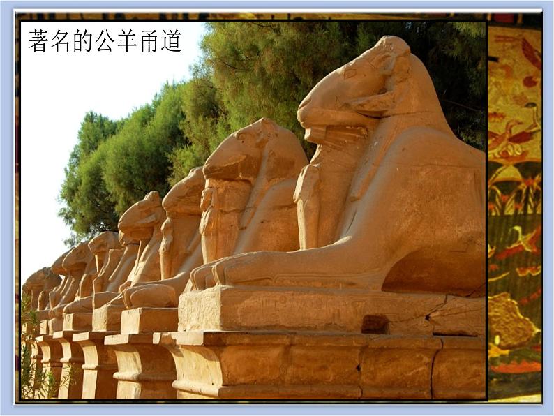 《非洲大陆之旅》课件08