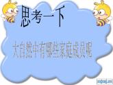 美麗的植物和動物PPT課件免費下載