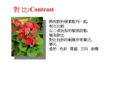 色彩的对比PPT课件免费下载