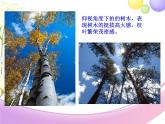 俯仰之間PPT課件免費(fèi)下載
