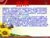 湘美版美術(shù)六下第8課《發(fā)現(xiàn)美麗》ppt課件1