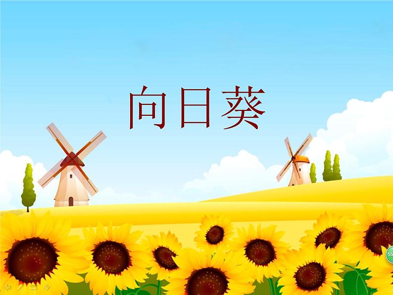 小学二年级下册美术 第15课向日葵-浙美版(39张)ppt课件02